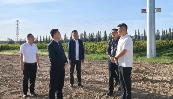 庞君实地调研督导中央第一生态环境保护督察组交办群众举报件办理及整改工作