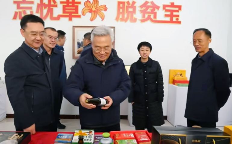 张桃林莅临云州区调研