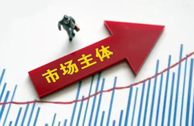 市场主体信息