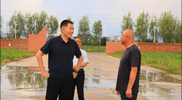 宁文鑫调研黄花收购加工工作
