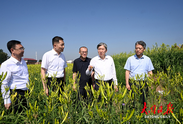 朱晓东在云州区调研时强调：牢记领袖嘱托 笃定实干奋进 始终沿着习近平总书记指引方向推动高质量发展深化全方位转型